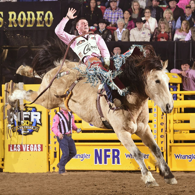 Tim O’Connell wearing a pink shirt and white vest, riding a tan bareback bronc horse at the NFR in front of yellow bucking chutes.